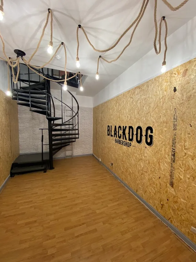 The spiral stair and the BLACKDOG wall