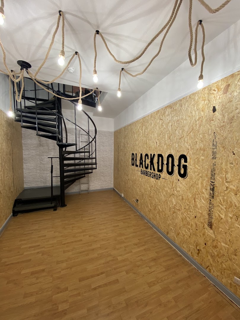 Inside Black Dog Barbershop — the spiral stair and the BLACKDOG wall